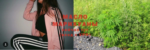 индика Абинск