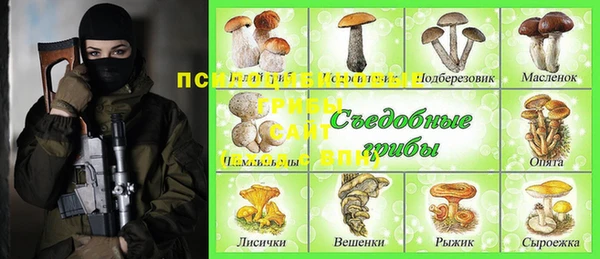 индика Абинск
