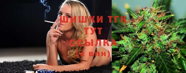 прущий лед Алзамай