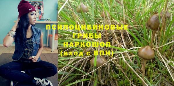 прущий лед Алзамай