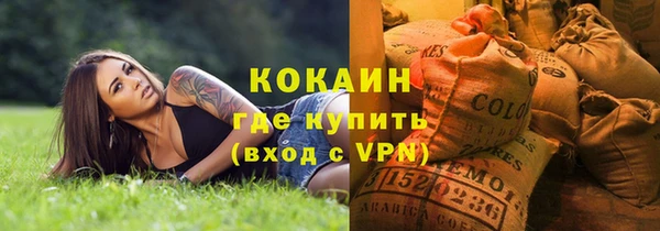 индика Абинск