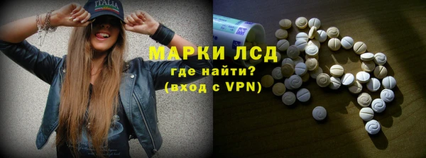 прущий лед Алзамай