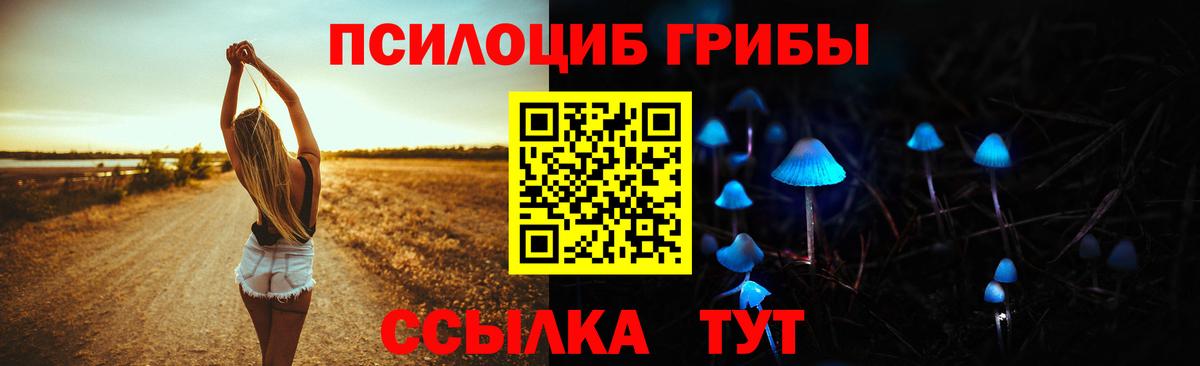 Норильск  Галлюциногенные грибы мицелий  Вход с VPN 