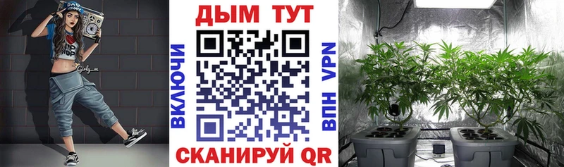 где найти наркотики  нарко площадка формула  Шишки марихуана THC 21%  Норильск 
